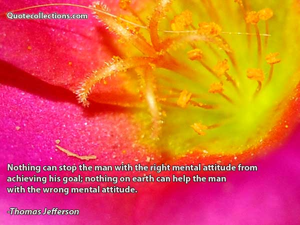 Thomas Jefferson Quotes5